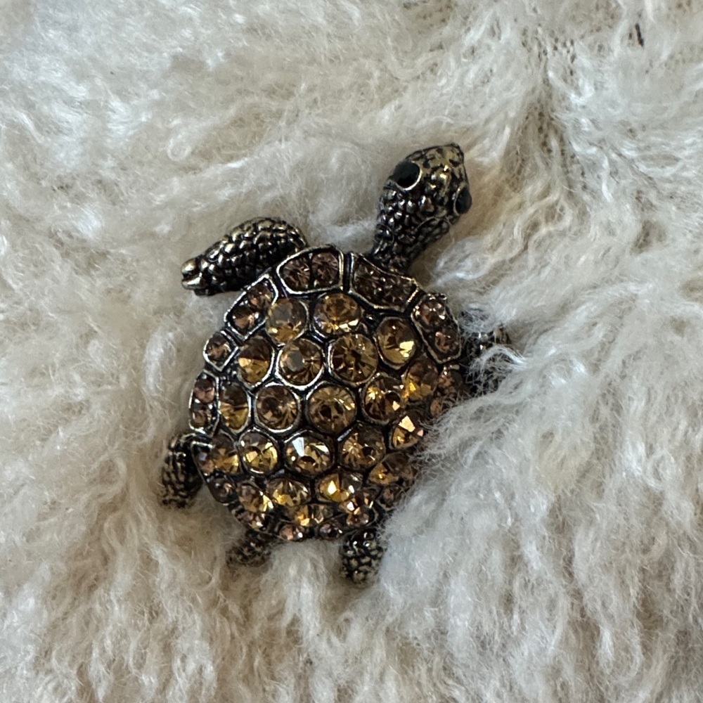 Turtle Brooch with Gold Accents